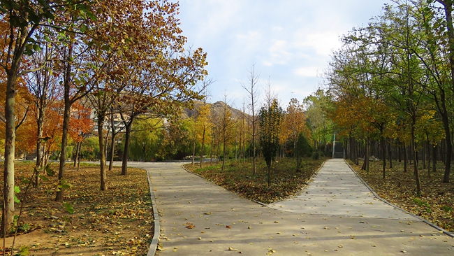 2024年湖南汽车工程职业大学在云南录取分数线（附近几年最低位次排名）