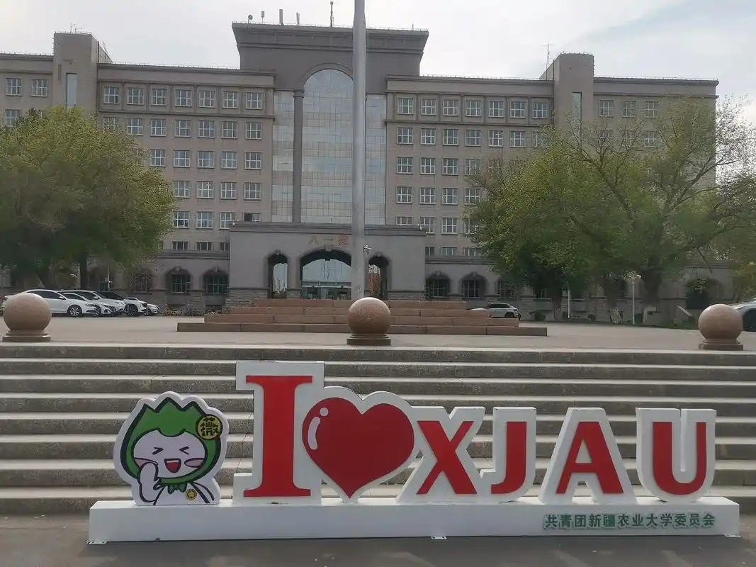 2026 新疆高考 350 分左右本科大学推荐 含全国及本地院校名单