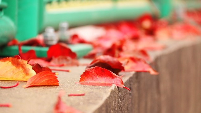 广东高考成绩多少分能报考黔南民族医学高等专科学校？附2023-2025年各专业录取位次排名