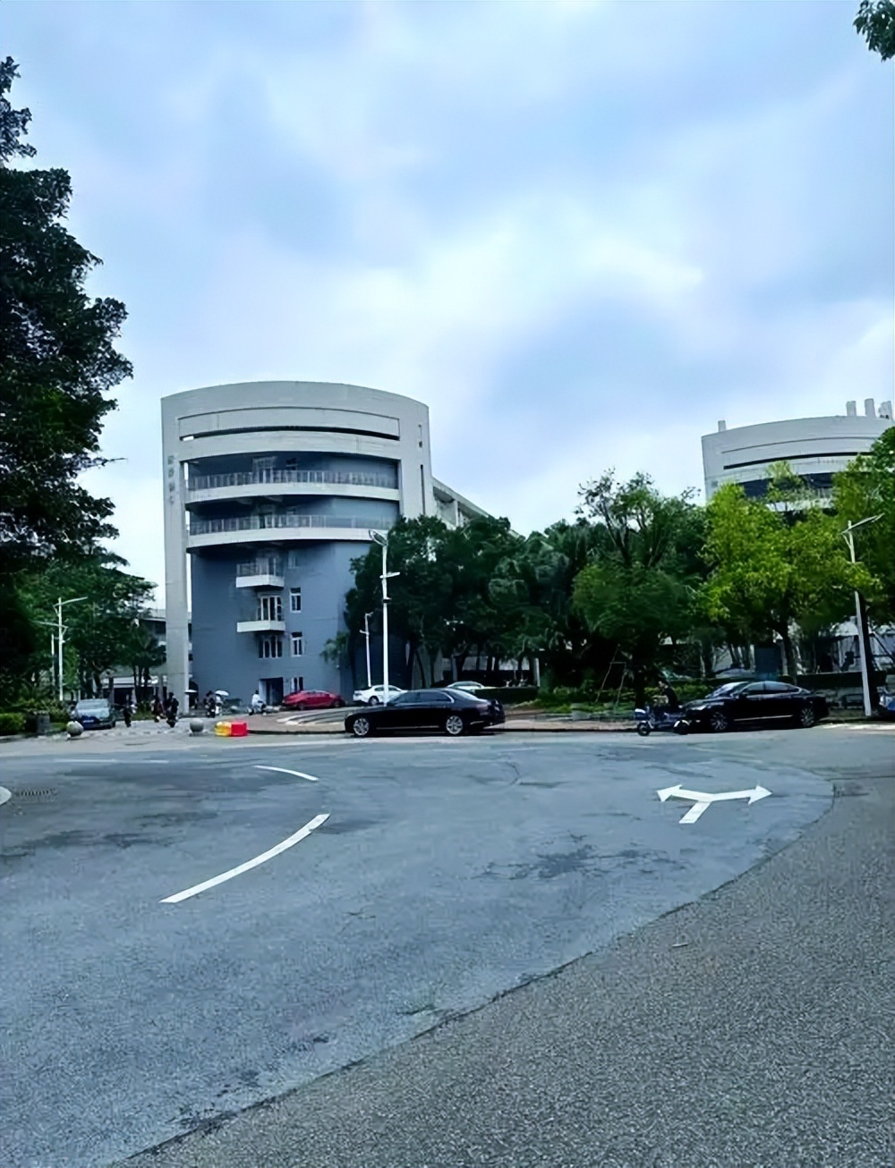 广东艺术类大学有哪些？2025 录取分数线 + 学校简介 2026 考生收藏