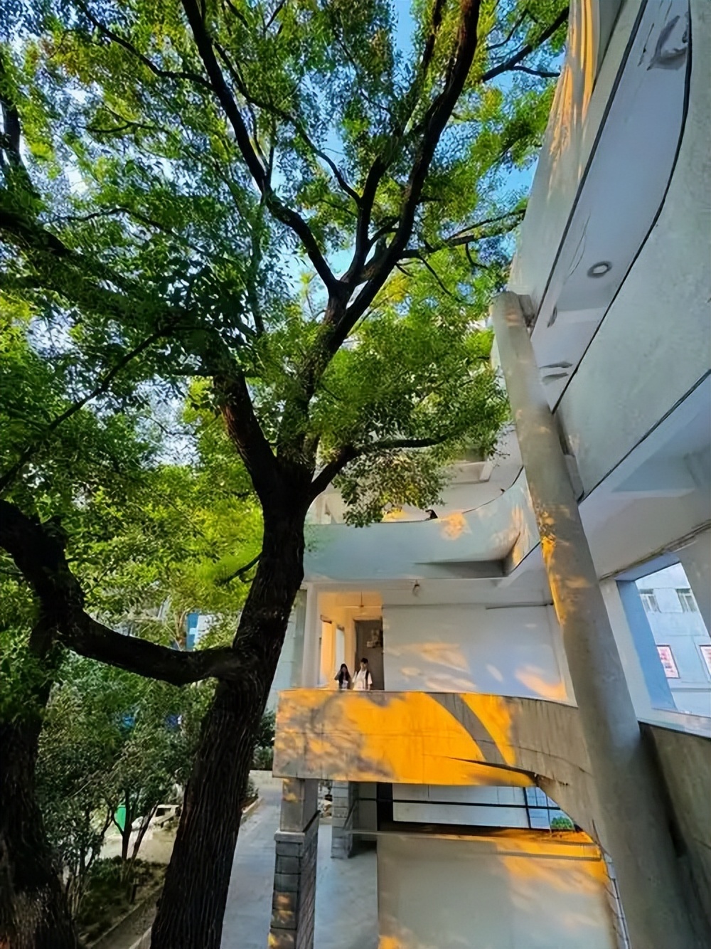 湖北艺术类大学名单及录取分数线 2026 艺考报考指南(图2) 湖北艺术类大学名单及录取分数线 2026 艺考报考指南(图2)