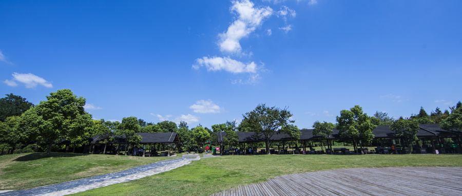 天津海运职业学院2025年录取分数线是多少？附提前批各专业分数线表