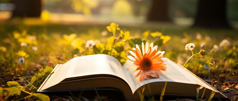 物化地多少分能上一本大学？500分可以吗？