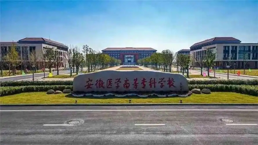 2026 安徽考生必看:2025 公办大专录取分数及位次