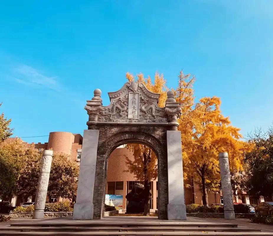 609分可冲？中国农大2025北京招录数据全解析，2026届必看