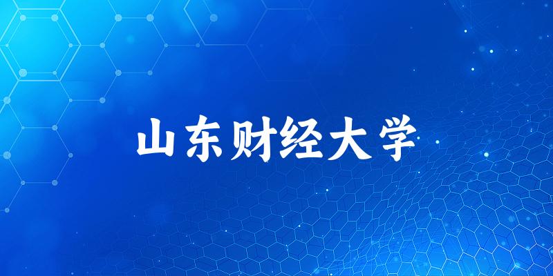 2025山东财经大学在湖南招生计划及录取分数线位次分析