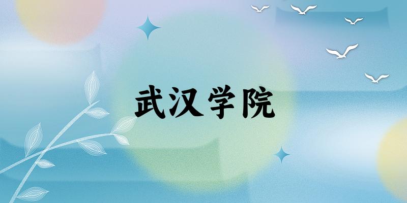 2025年武汉学院在河北全部专业录取位次、分数线 (附院校录取分数线位次)