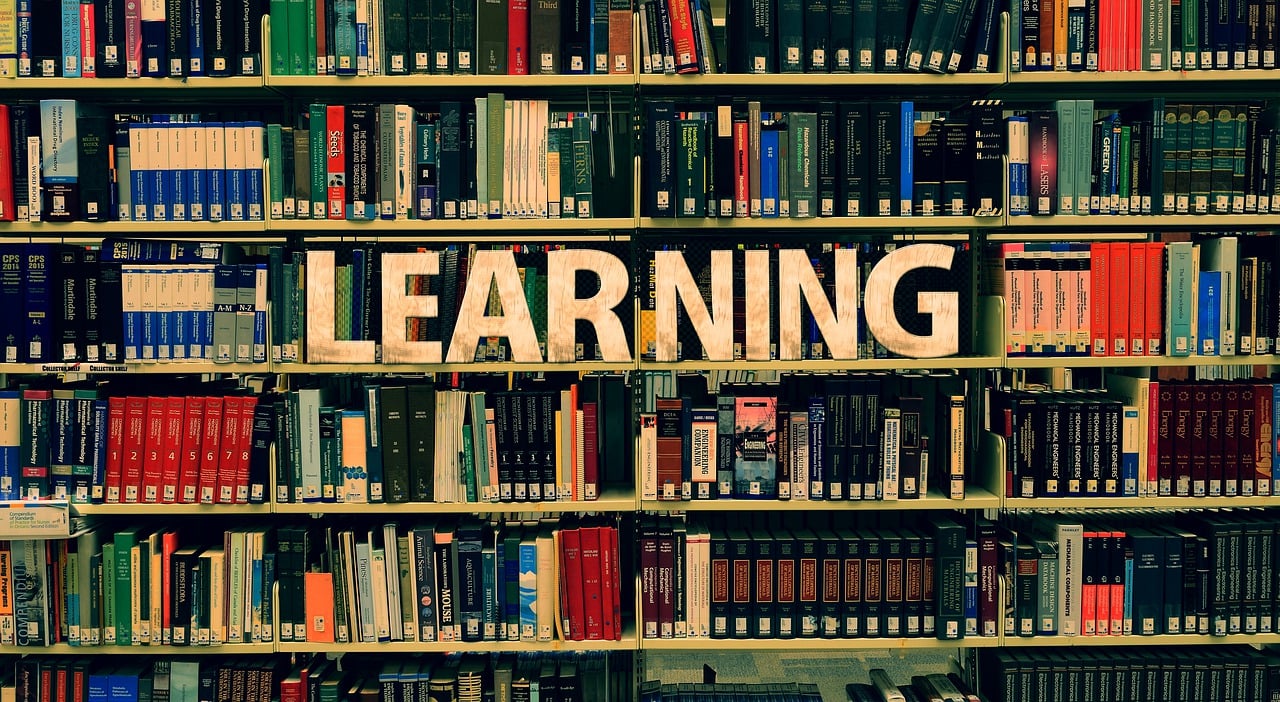 阳光学院近年在河南录取分数线概览(包括2022-2024各专业最低分数线)