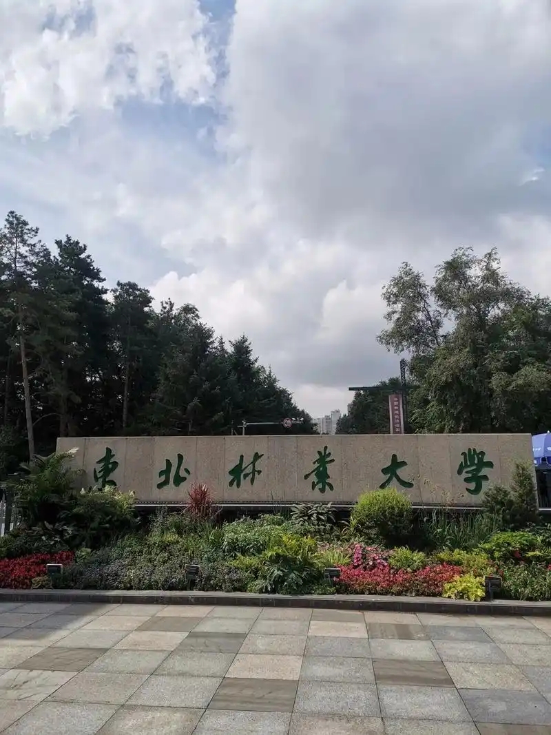 黑龙江本科大学全汇总！2025分数线+最新排名，2026考生择校必看(图3)