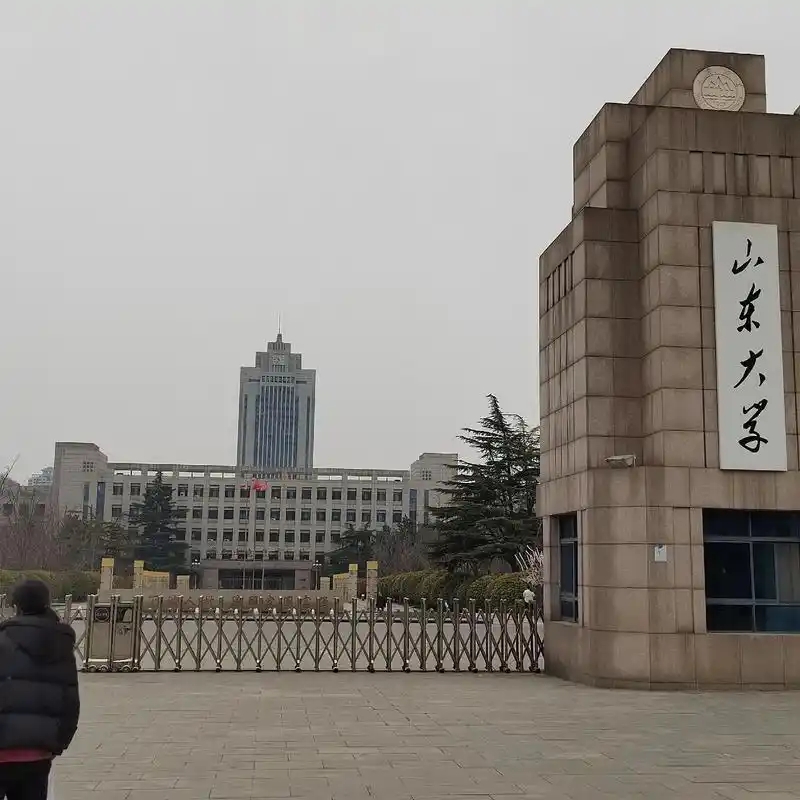 山东省本科大学一览表！附2025年录取分数线、最新排名