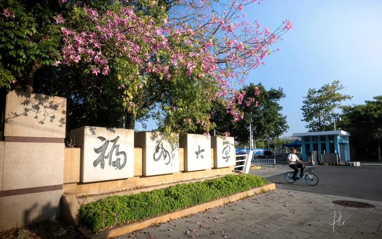 福建省本科大学一览表！附2025年录取分数线、最新排名