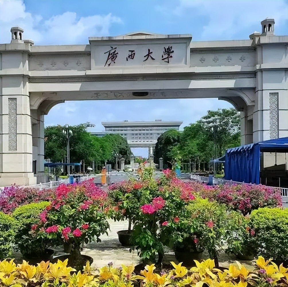 南宁市本科大学排名及分数线一览表（2026参考）