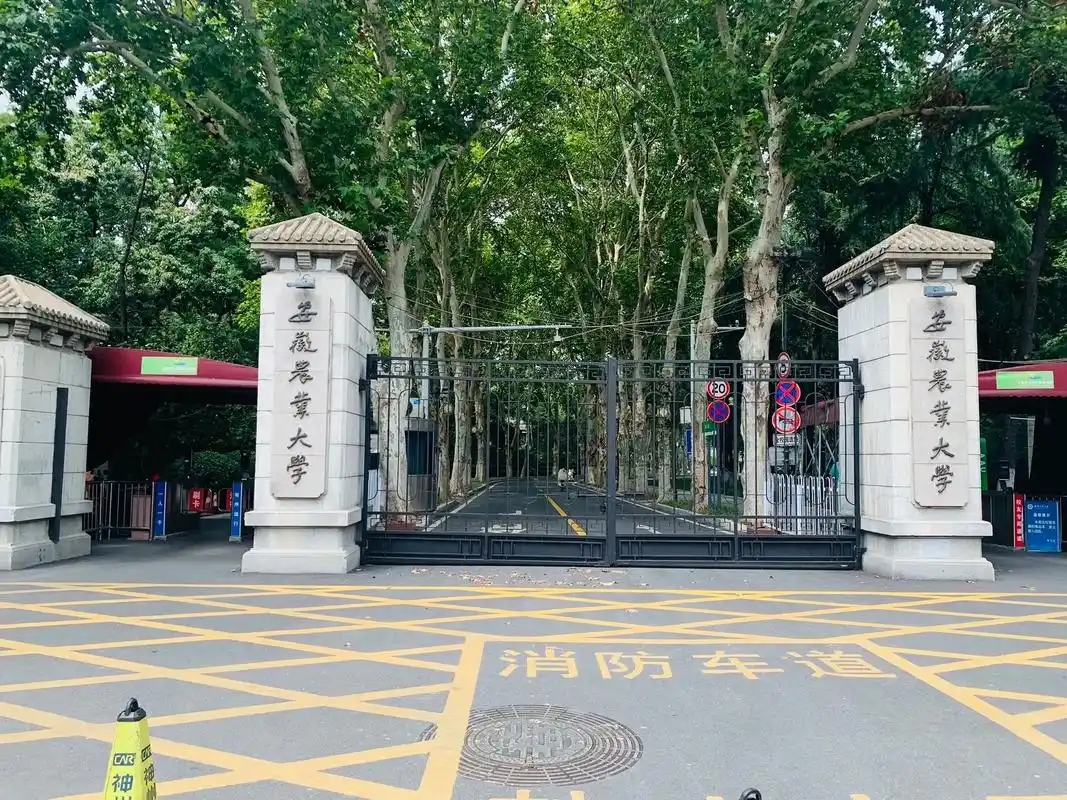 合肥市本科大学有哪些？附所有学校名单及分数线