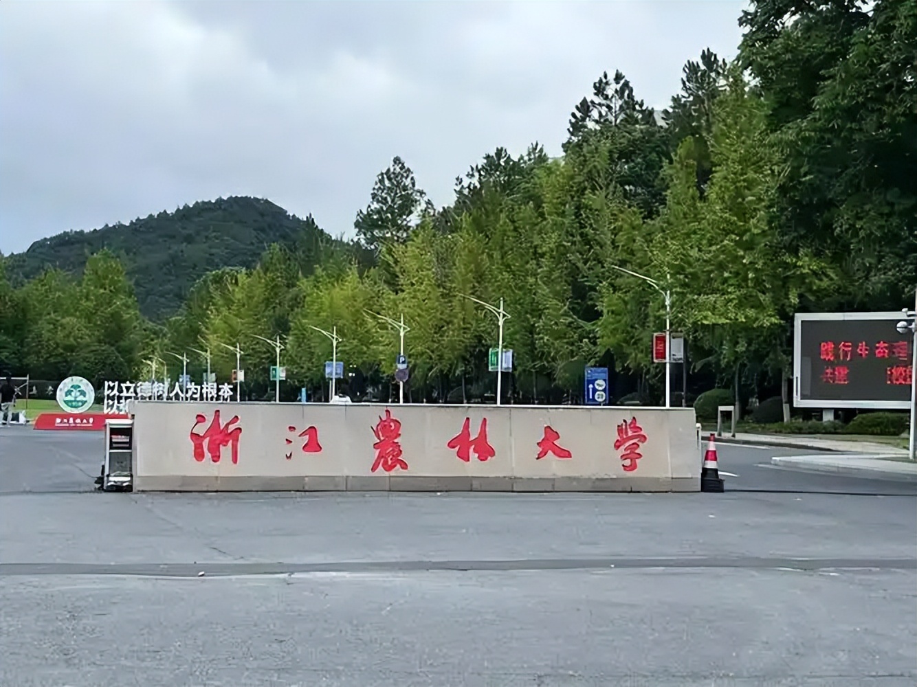 杭州市本科大学有哪些？附所有学校名单及分数线