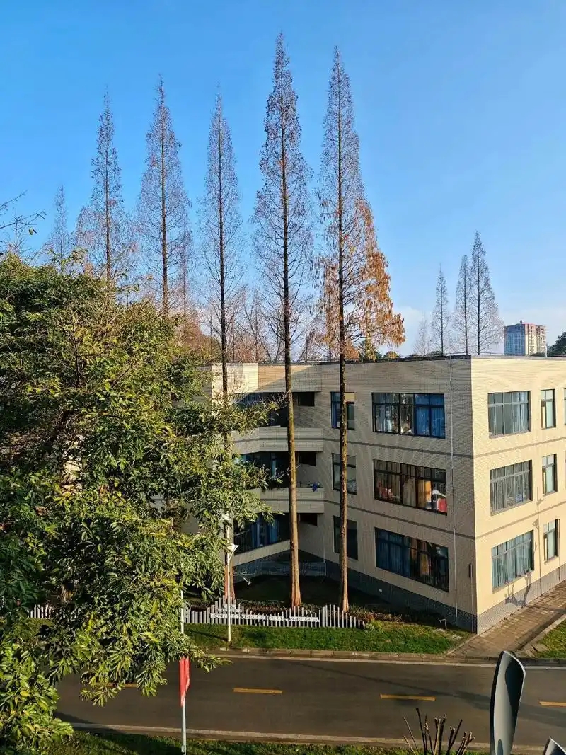 四川省专科院校一览表！附2025年录取分数线参考