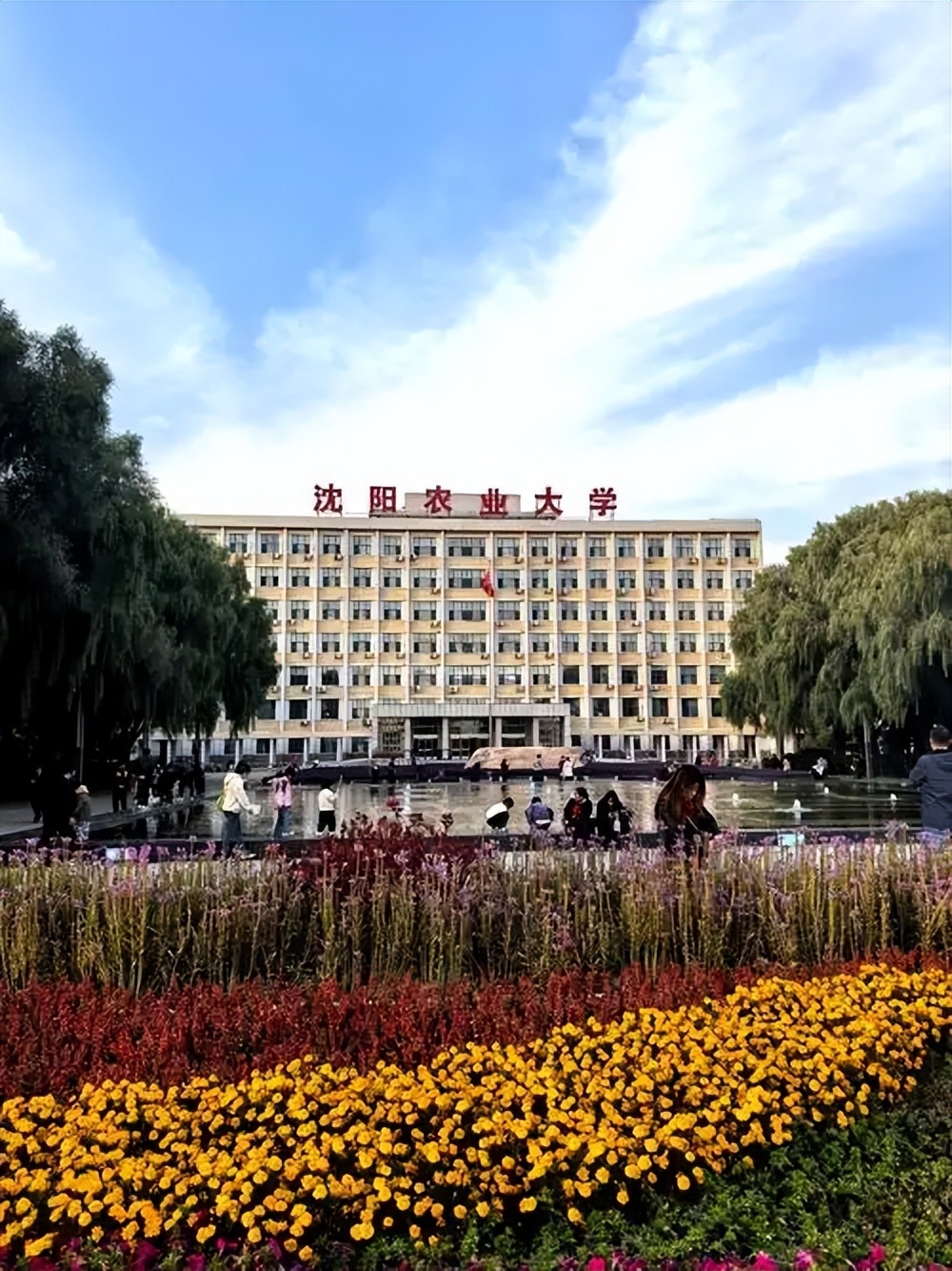 黑龙江211大学最低录取分数线（2026年参考）(图4)