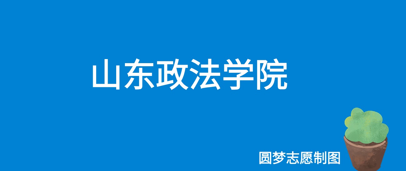 山东政法学院2025年录取分数线（全国各省，2026参考）