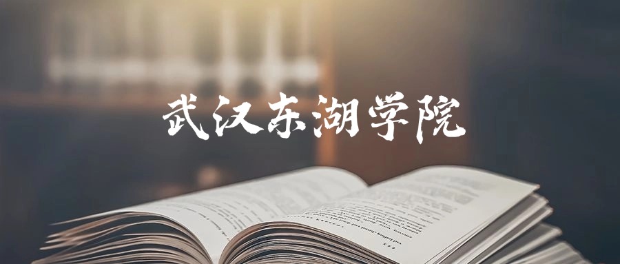 武汉东湖学院2025年录取分数线是152分-534分