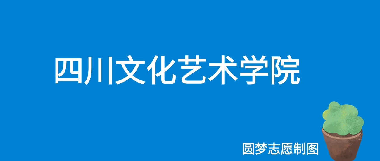 四川文化艺术学院2025年录取分数线（全国各省，2026参考