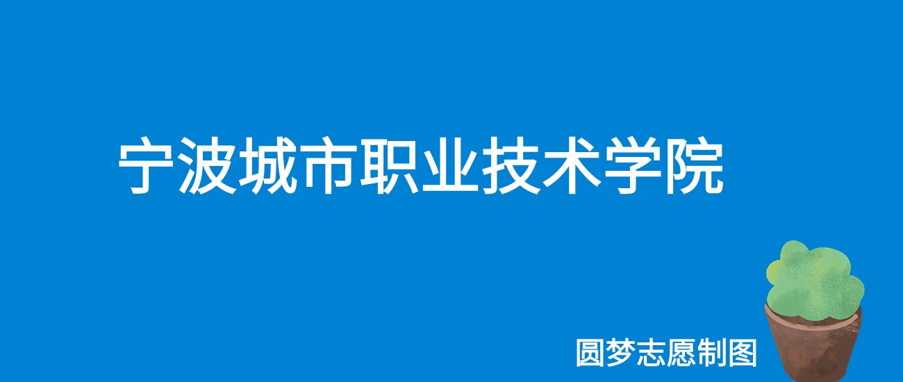 2025宁波城市职业技术学院录取分数线（全国各省最低分及位次）
