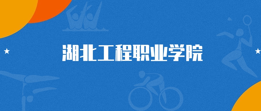 2025年湖北工程职业学院电子商务专业录取分数线（2026参