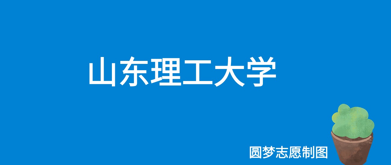 2025山东理工大学录取分数线(全国各省最低分及位次)