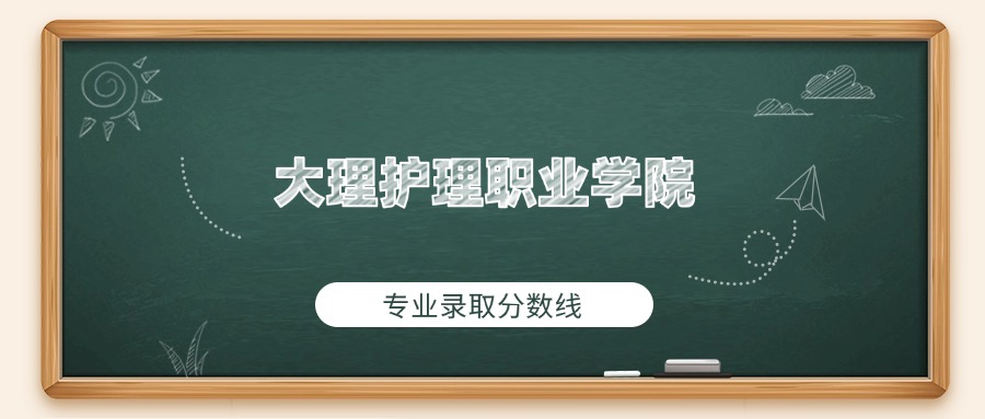大理护理职业学院2025年专业录取分数线：最低378分