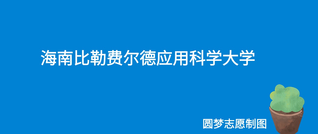 海南比勒费尔德应用科学大学上海录取分数线2025年是多少？附