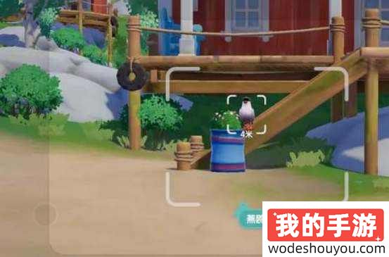 心动小镇海鸥观鸟位置在哪 海鸥观鸟详细点位一览