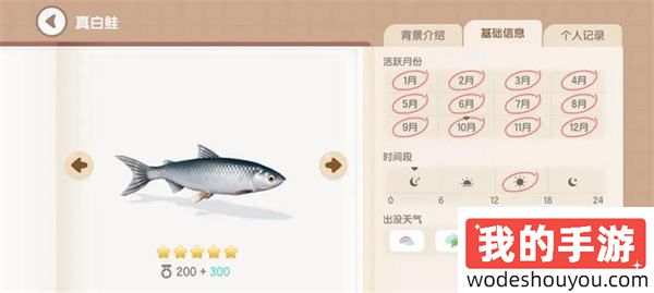 心动小镇真白鲑怎么钓 真白鲑出没时间及钓鱼攻略