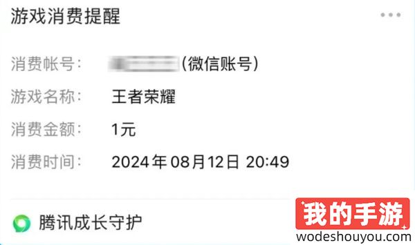 腾讯成长守护新增身份证关联游戏账号查询：实时通知登录、充值状态(图3)