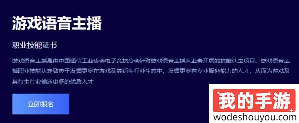 是真进步还是形式主义，“游戏职业技能认定平台”上线，陪玩正规化？