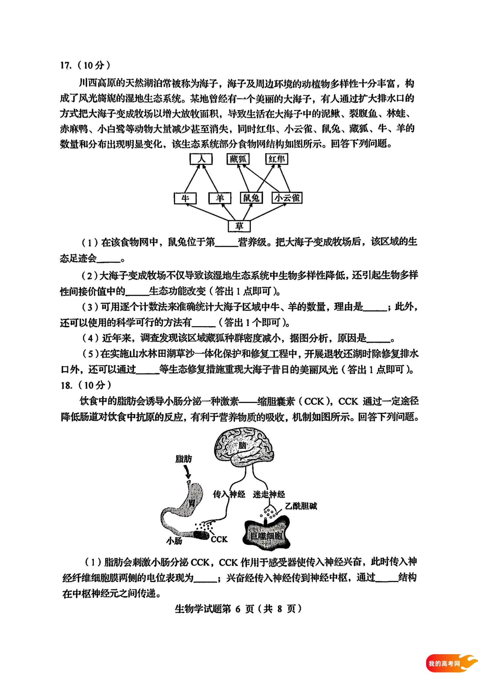 八省联考2025届高三新高考适应性考试各科答案及试卷汇总(图53)