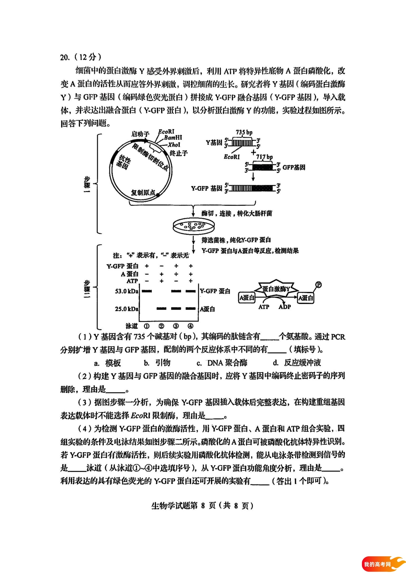 八省联考2025届高三新高考适应性考试各科答案及试卷汇总(图55)