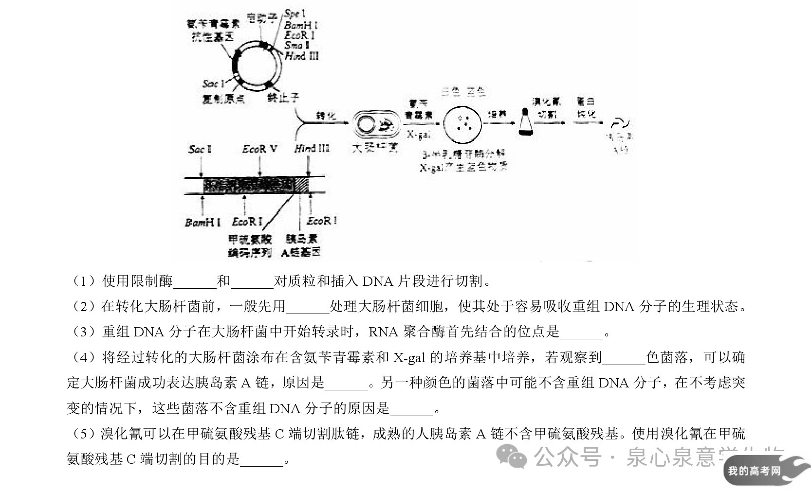 八省联考2025届高三新高考适应性考试各科答案及试卷汇总(图308)