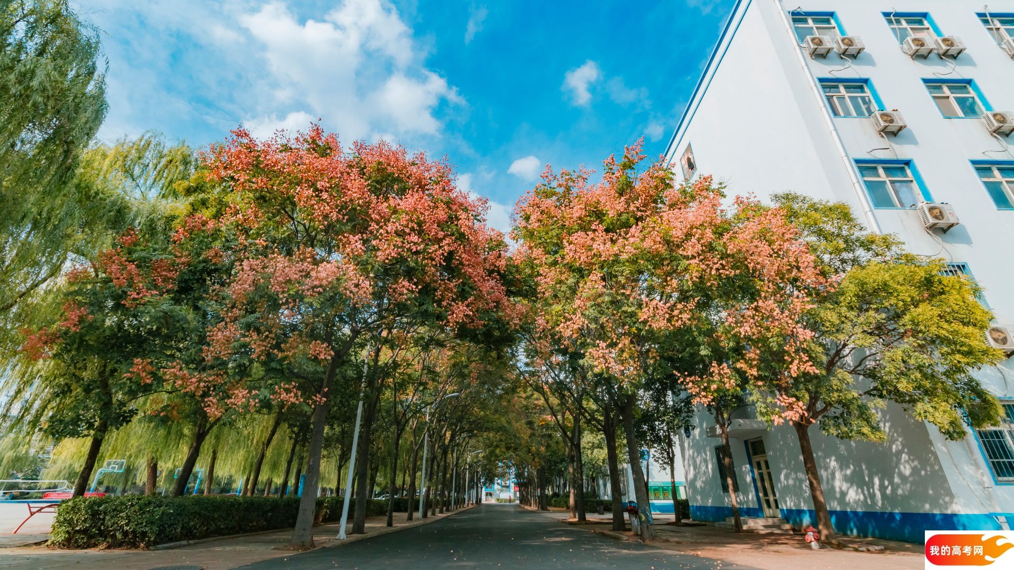 河南高考成绩多少分能报考辽宁对外经贸学院？附2022-2024年各专业录取位次排名(图1)