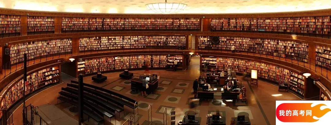 浙江工商大学杭州商学院2024年在贵州录取分数线、对应位次（附近几年最低录取分数线及位次排名）(图1)