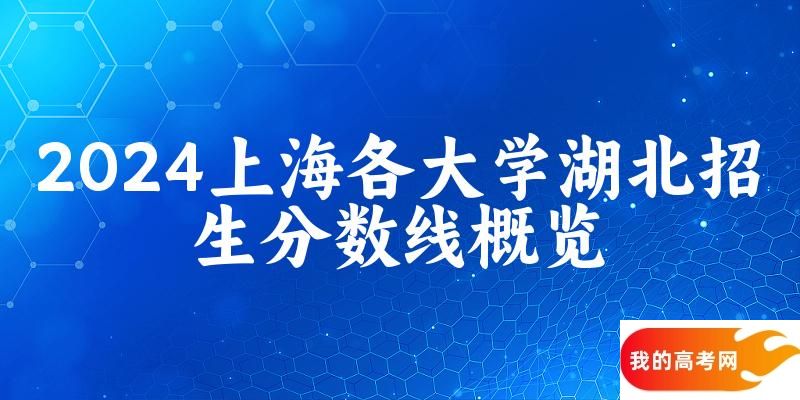2024上海各大学湖北招生分数线概览：含本科批、本科提前批(图1)
