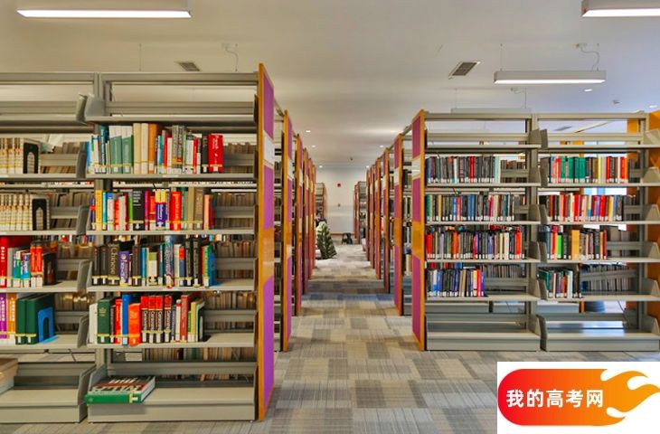 沈阳医学院2024年在河北录取分数线、对应位次（附近几年最低录取分数线及位次排名）(图1)