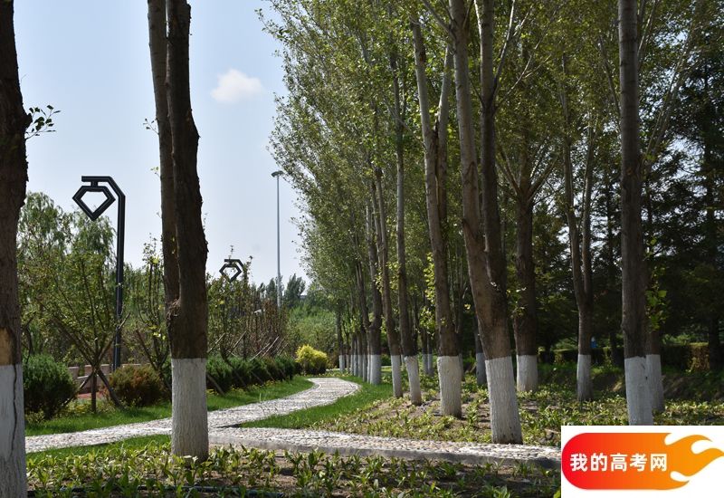 江西师范高等专科学校2024年在广东录取分数线、对应位次（附近几年最低录取分数线及位次排名）(图1)