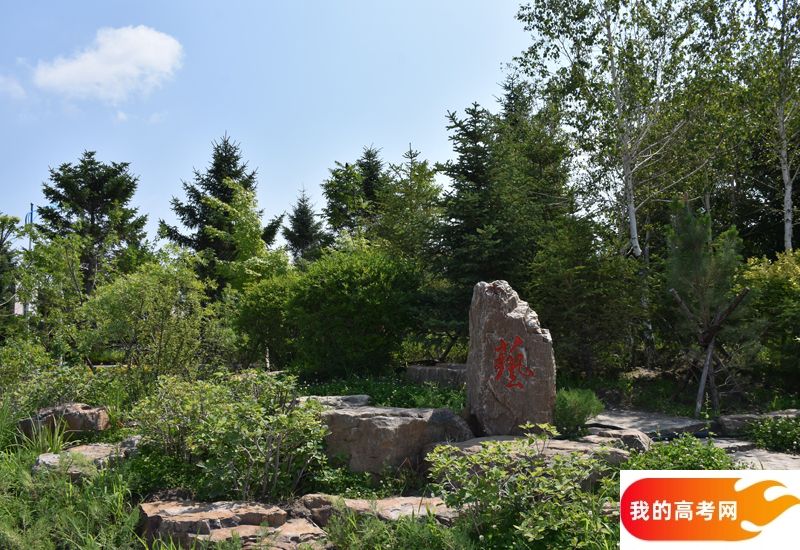 2024年复旦大学上海医学院在广西录取分数线（附近几年最低位次排名）(图1)