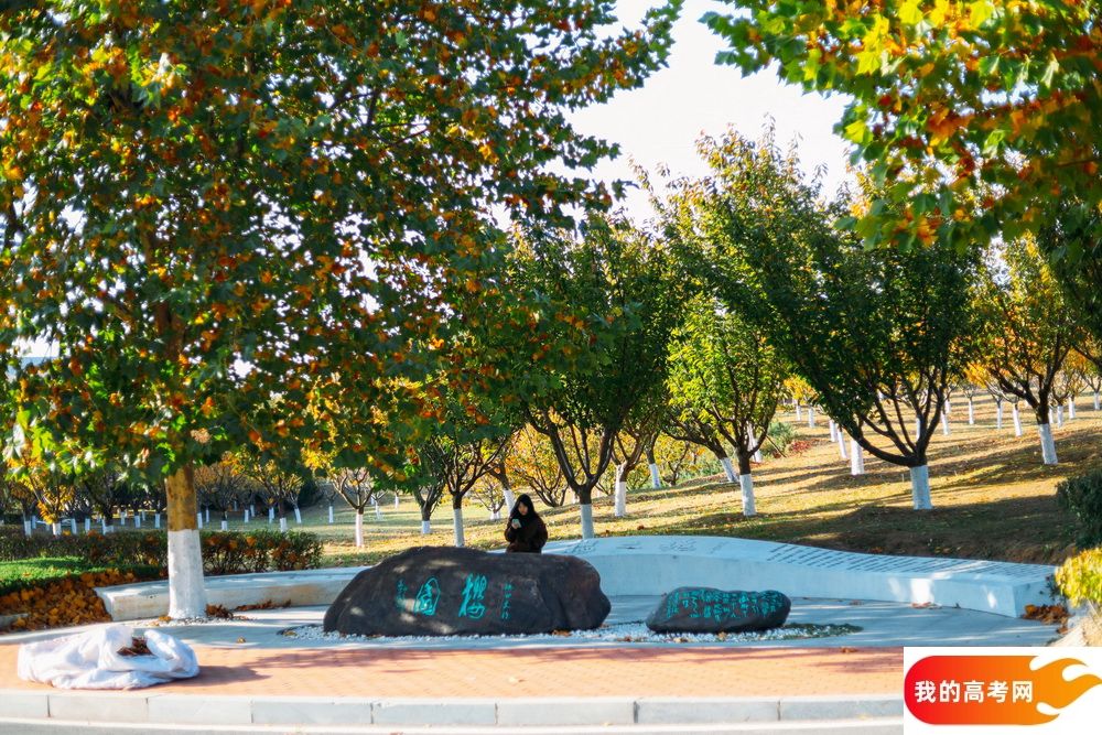 中国海洋大学2024年在山西录取分数线、对应位次（附近几年最低录取分数线及位次排名）(图1)