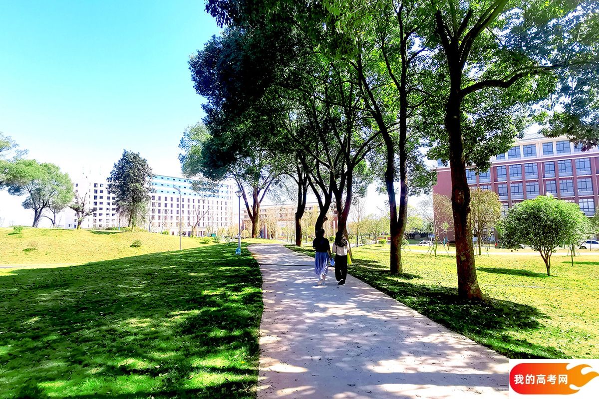 上海第二工业大学2024年在湖南录取分数线、对应位次（附近几年最低录取分数线及位次排名）(图1)