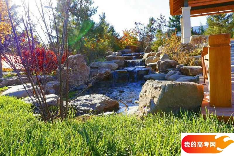 北京林业大学2024年在山东录取分数线、对应位次（附近几年最低录取分数线及位次排名）(图1)