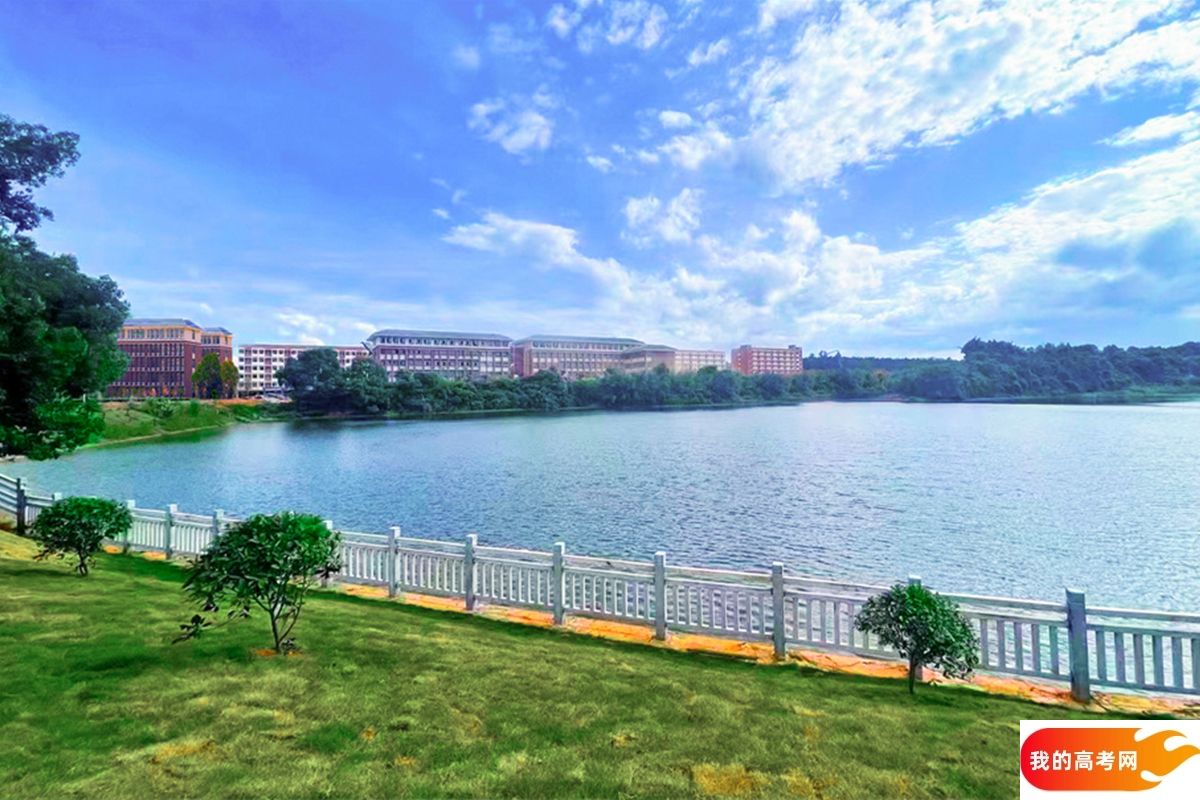 东北师范大学2024年在辽宁各专业录取分数线（附院校录取分数线录取位次）(图1)