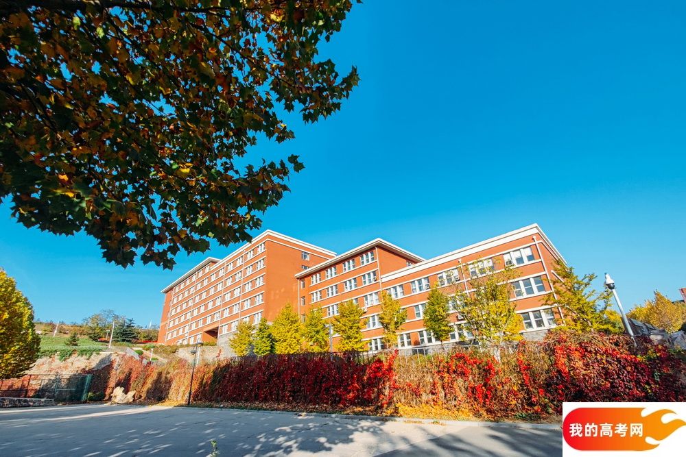 东北大学秦皇岛分校2024年在江苏录取分数线、对应位次（附近几年最低录取分数线及位次排名）(图1)