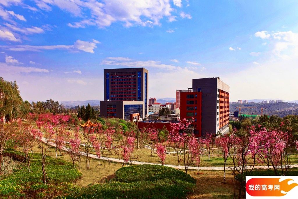 上海财经大学2024年在贵州录取分数线、对应位次（附近几年最低录取分数线及位次排名）(图1)