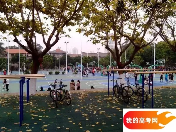 2024年天津财经大学在四川录取分数线（附近几年最低位次排名）(图1)