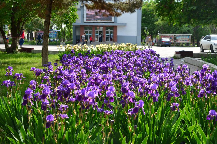 2024年曲阜师范大学在福建录取分数线（附近几年最低位次排名）(图1)