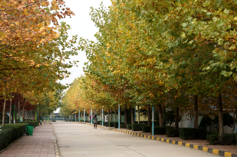 2024年首都医科大学在河南录取分数线（附近几年最低位次排名）(图1)